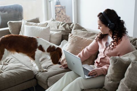Rantalainen brändikuva. Nainen töissä kotona, istuu koiran kanssa sohvalla.