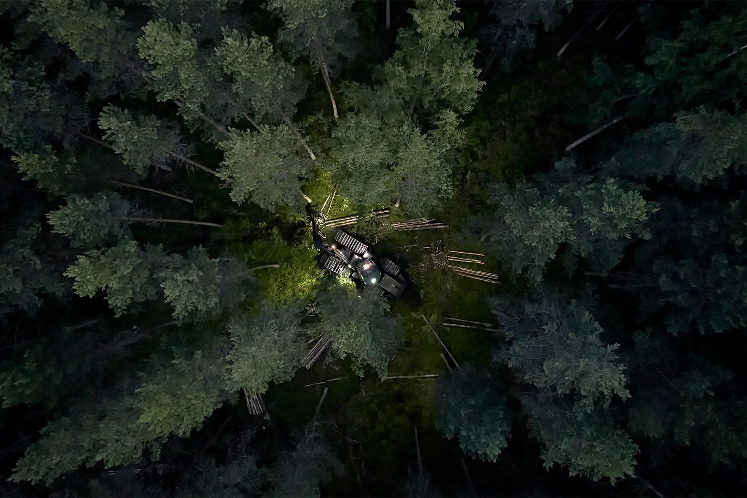 Metsätyökone metsän keskellä.