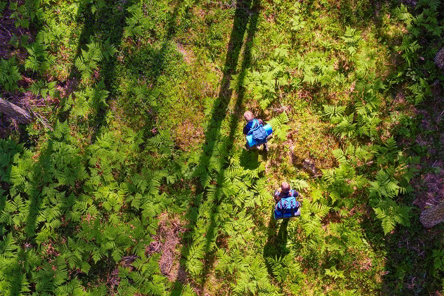 Kaksi henkilöä reput selässä metsässä.