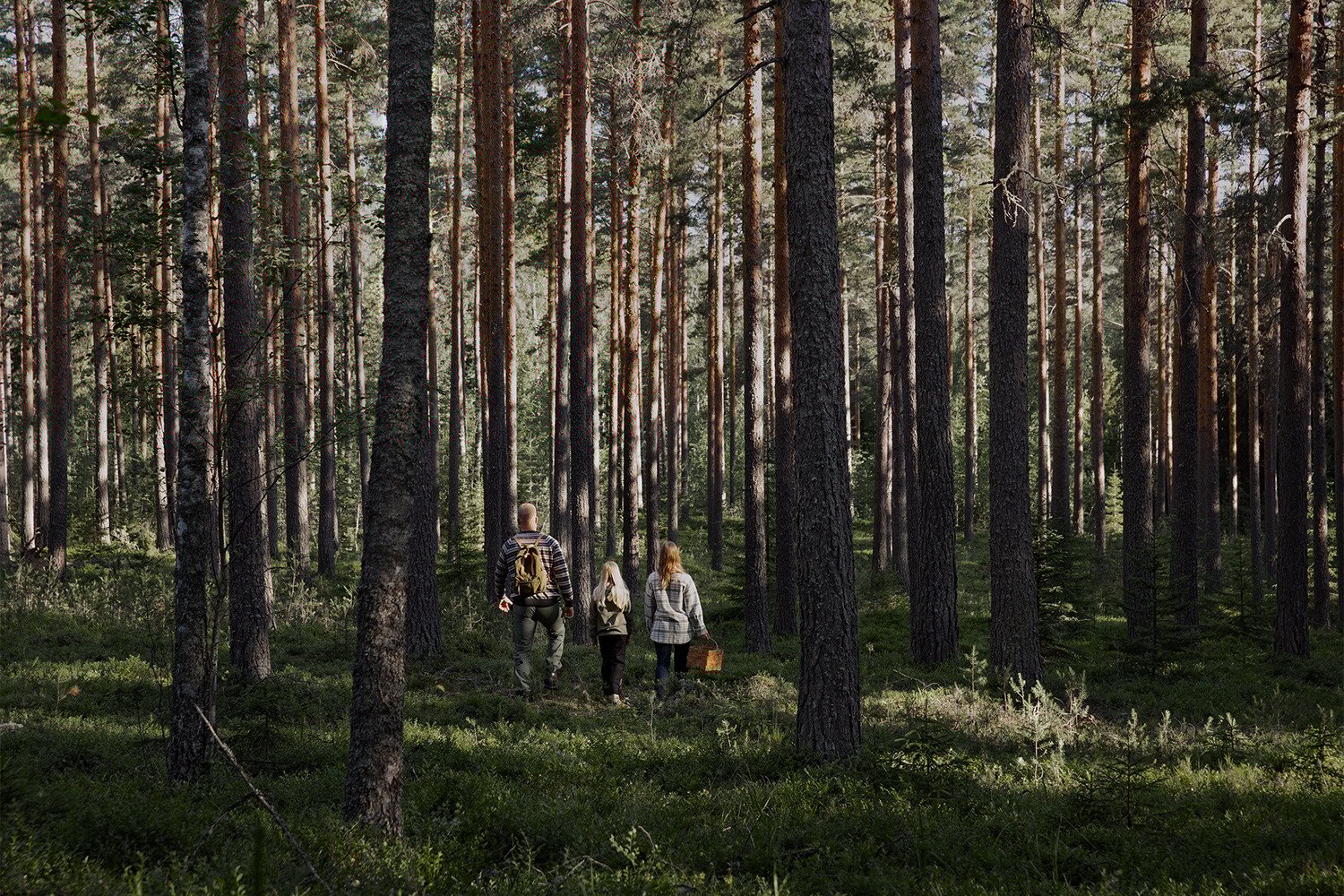 Kaksi aikuista ja nuori kävelevät metsässä.