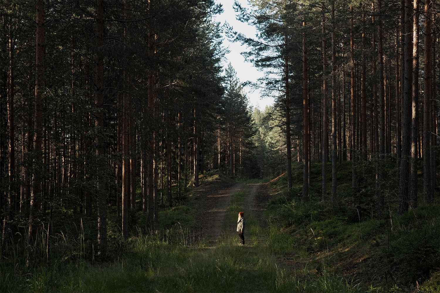 Henkilö metsätiellä.