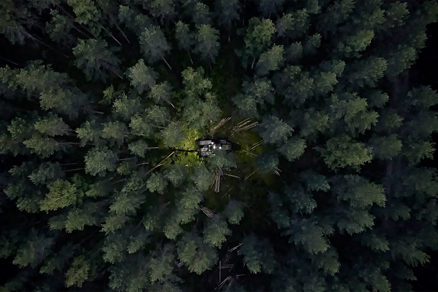 Metsätyökone metsän keskellä.